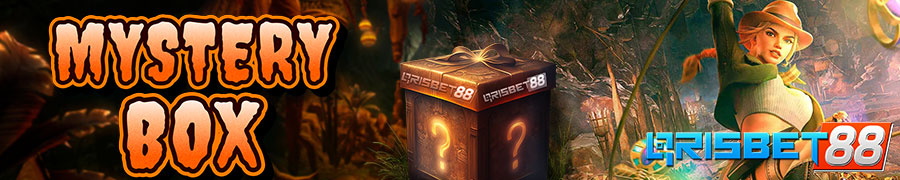 MYSTERY BOX